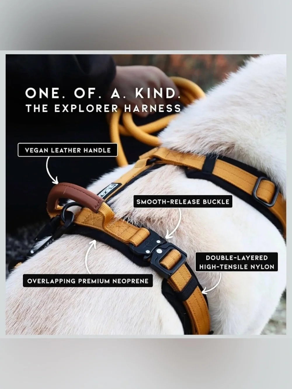 Made to Roam Padded Dog Harness
